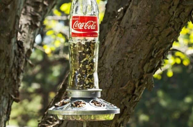 Soda Bottle Feeder