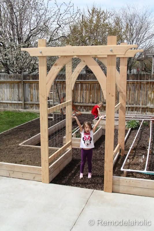 Garden Arch with Wire