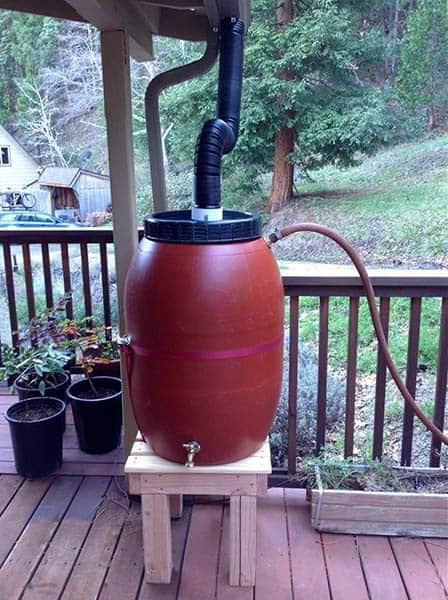 The Pretty Rain Barrel