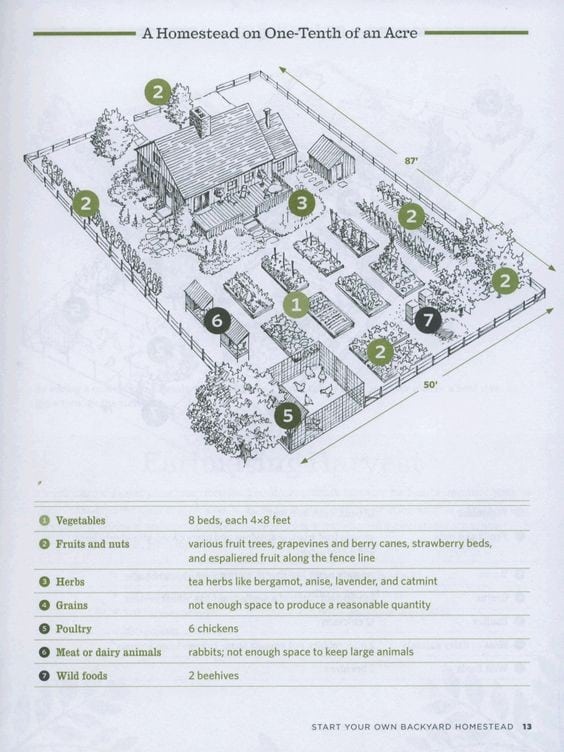 The 1/10 of an Acre Homestead Layout