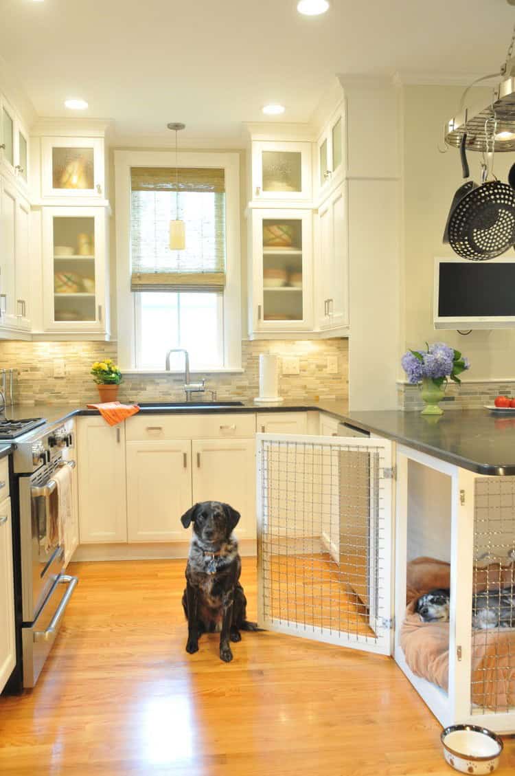 The Kitchen Dog Crate