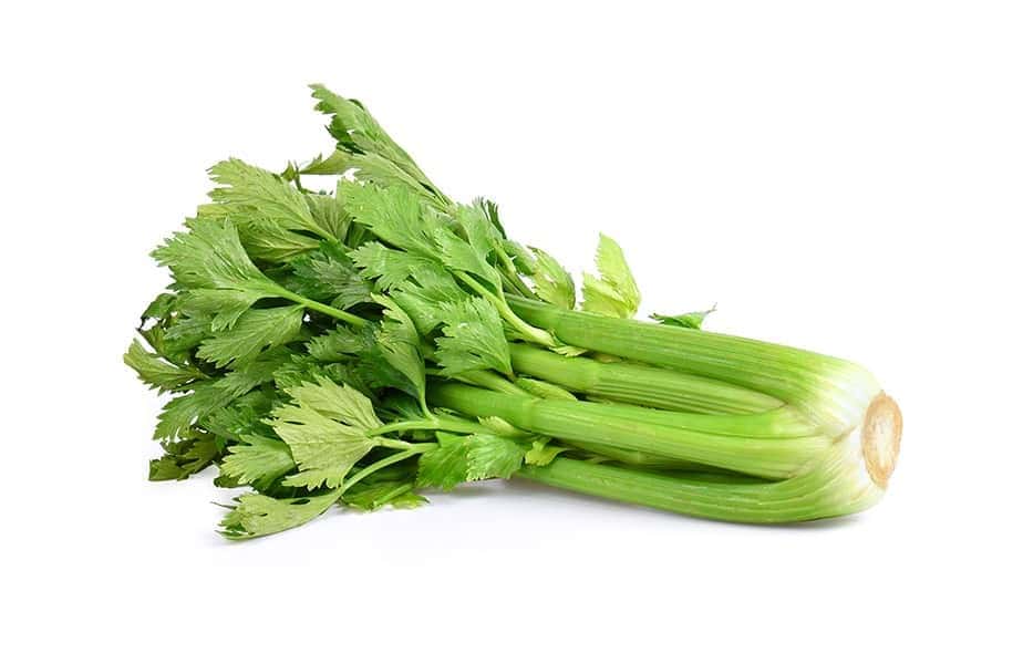 Celery