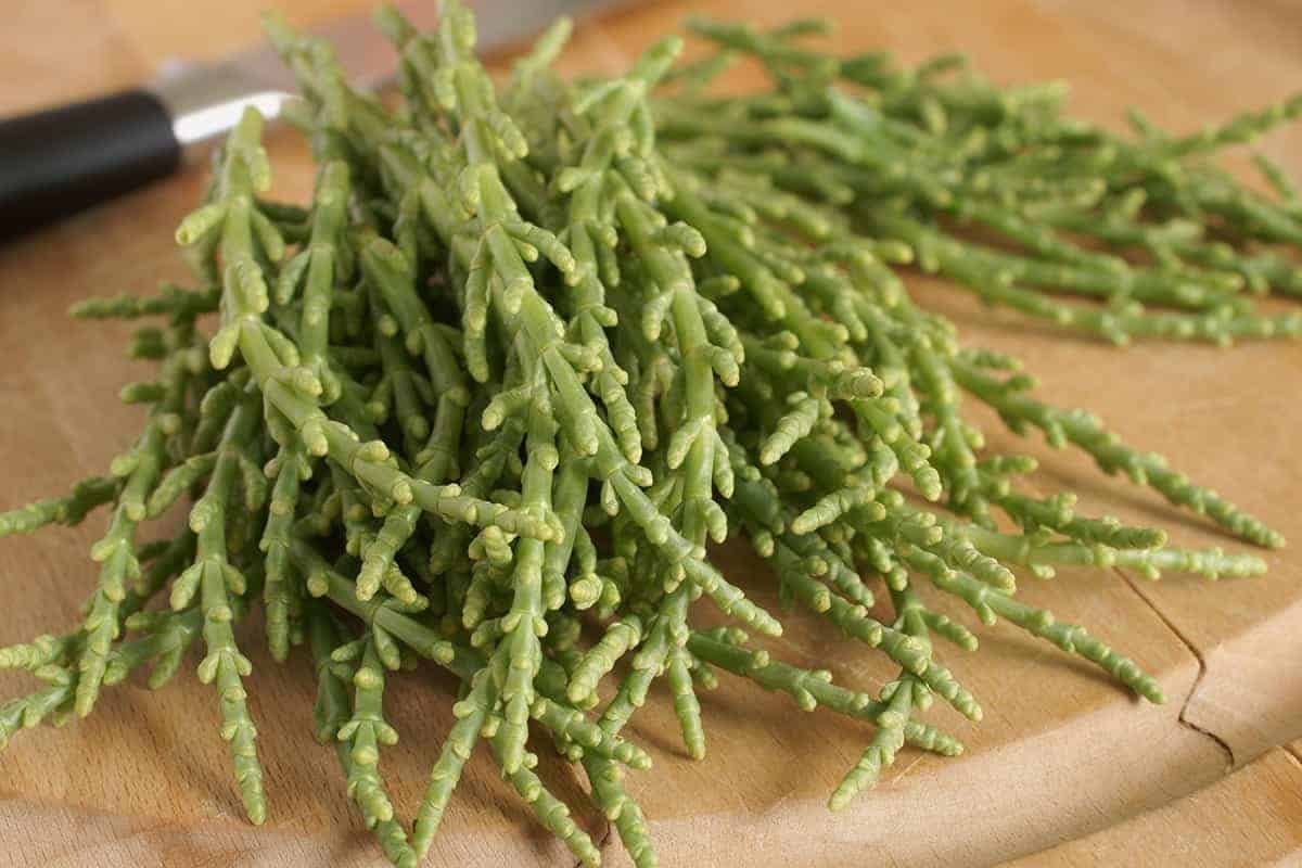 Samphire (Sea Beans)