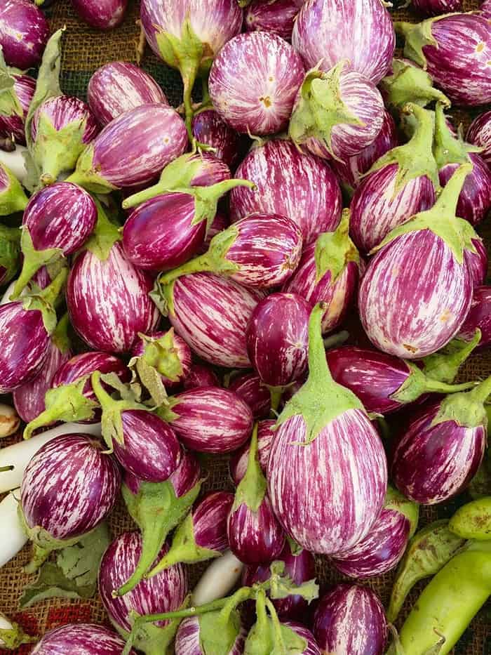 Caring for Your Eggplants