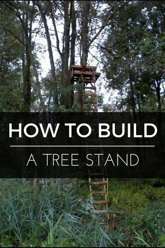 The Tree Stand Tutorial