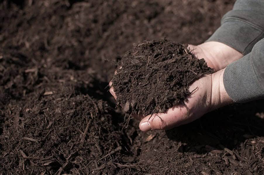 Mulch and Rocks