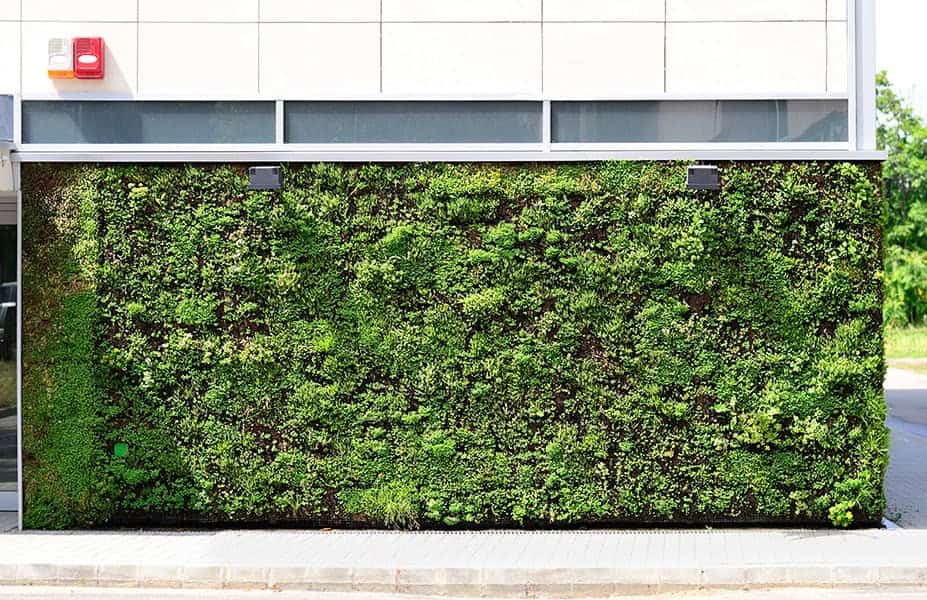 What Is A Living Wall