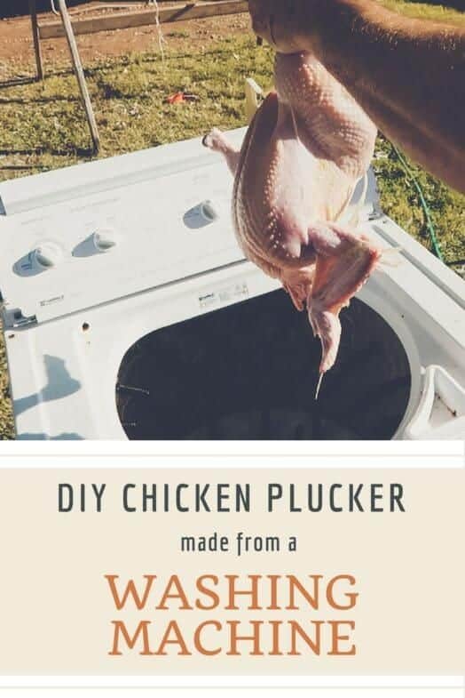 The Washing Machine Chicken Plucker