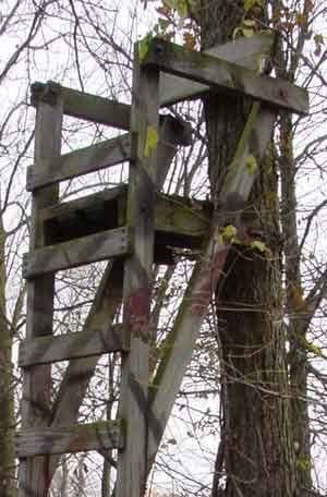 The Ladder Stand