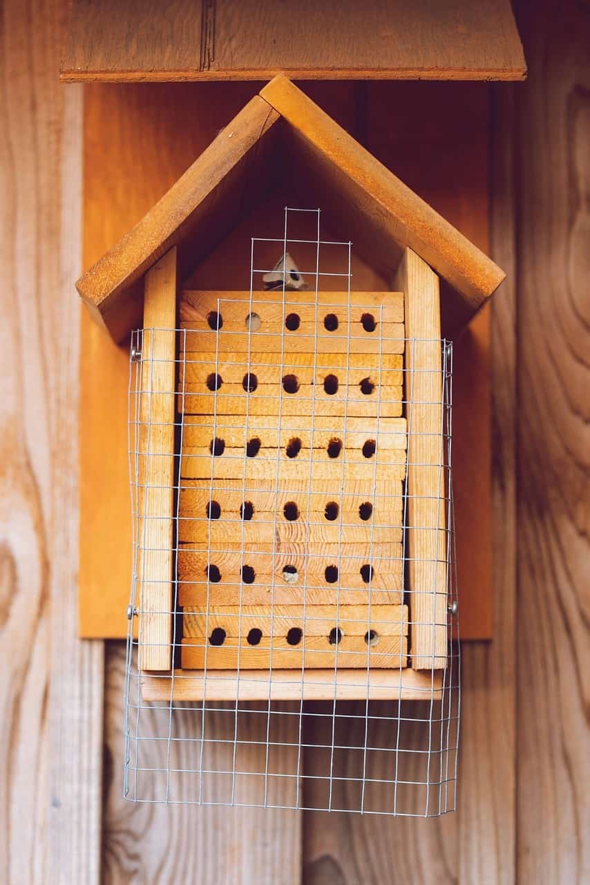 Wood Bee House