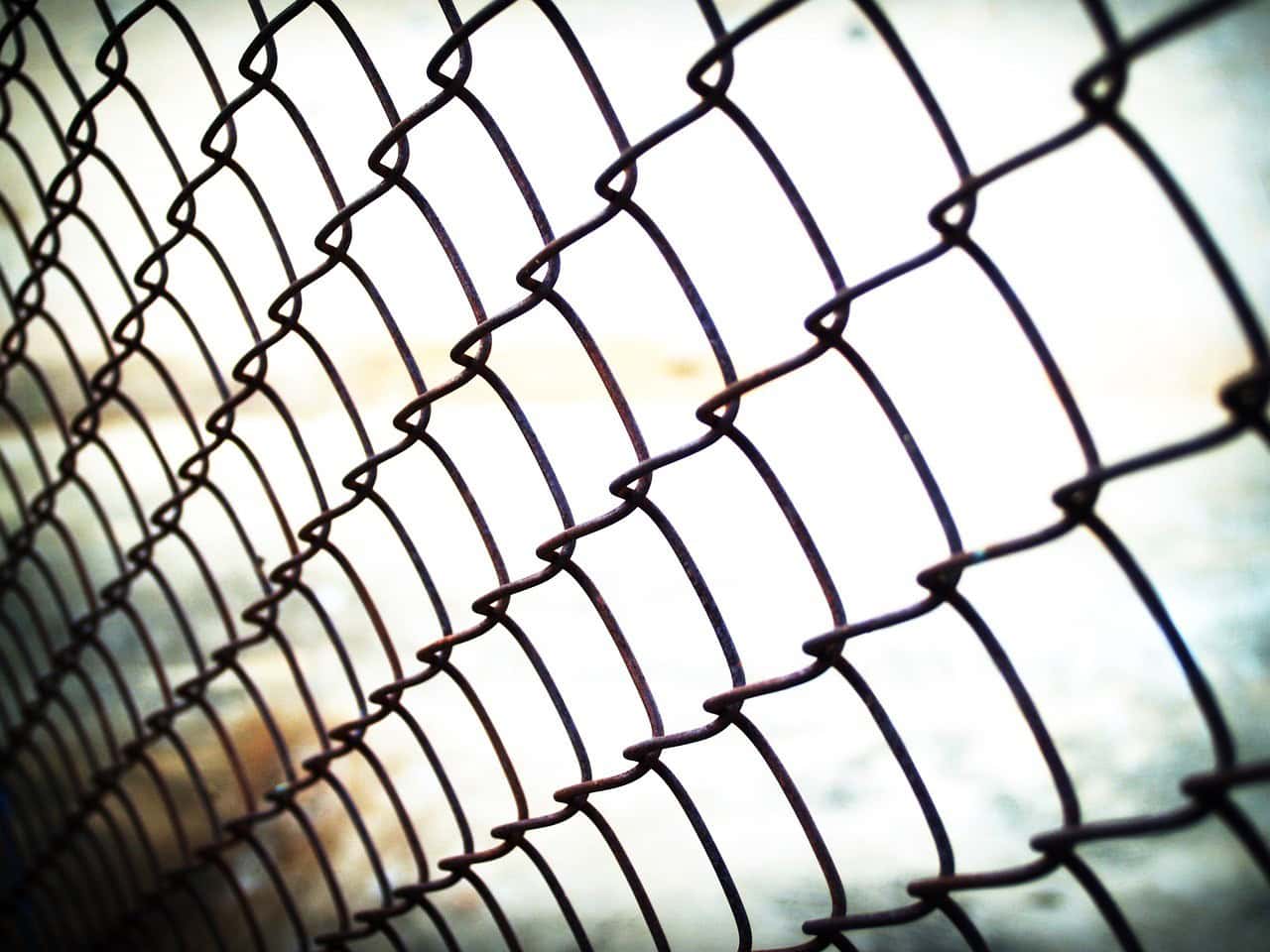 Chain Link Fence