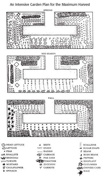 Intensive Garden Plan for Maximum Harvest