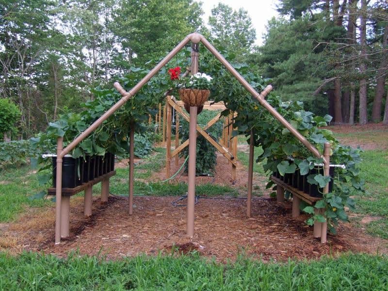 PVC Cucumber Trellis