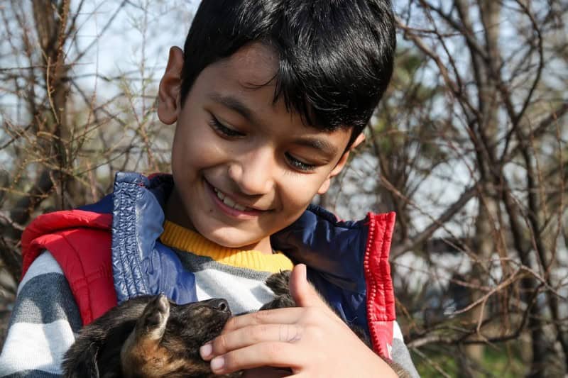 Having Animals can Help Children Cope