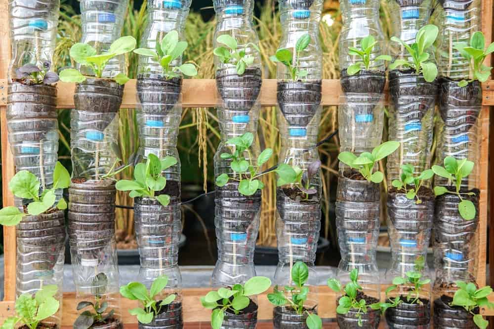 Upside-Down Soda Bottle Planters