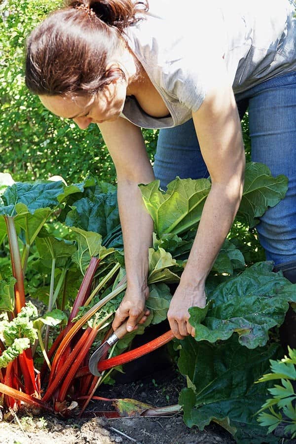 Harvest the Stalks Only