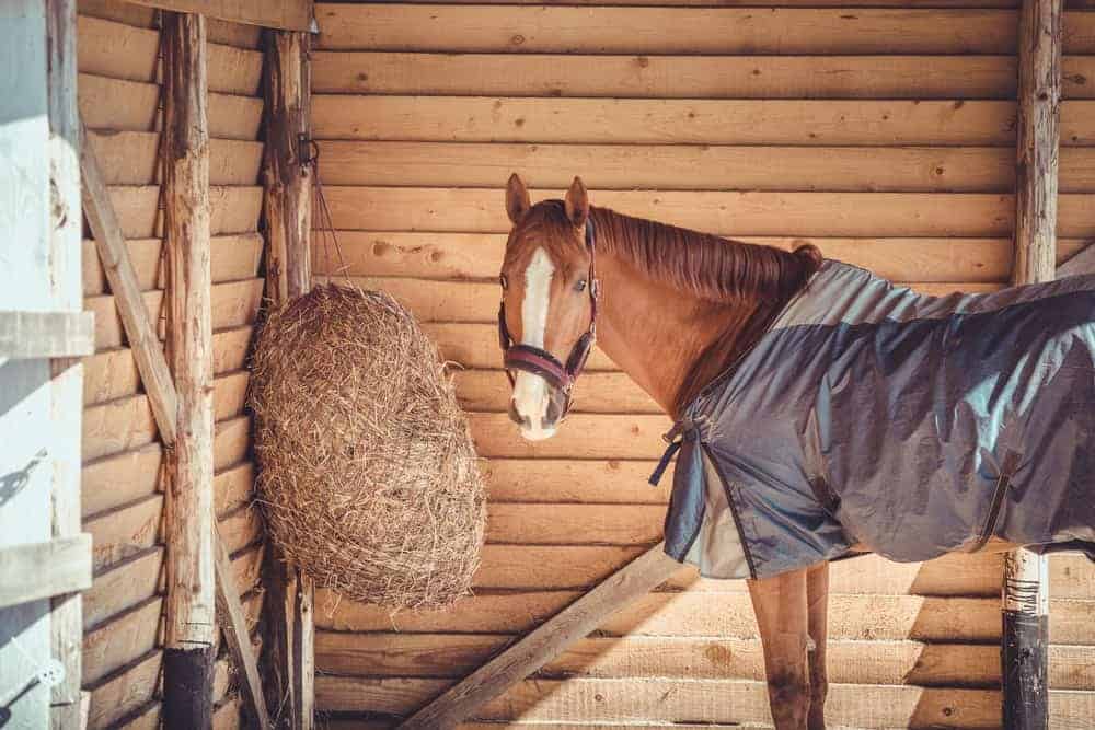 Being Stuck in Their Stalls for Too Long