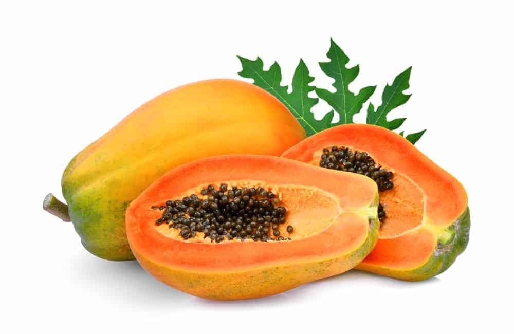 Papaya