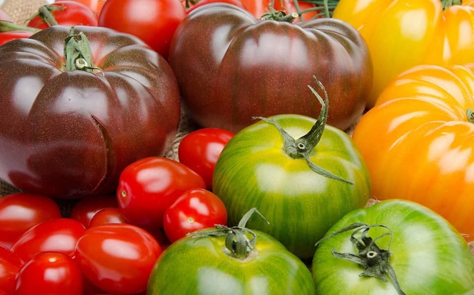 Tomatoes – Ethylene Producer