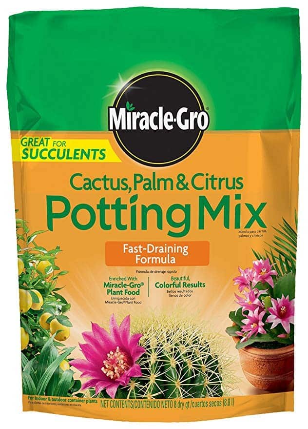 Miracle-Gro 8-Quart Cactus, Palm, and Citrus Potting Mix