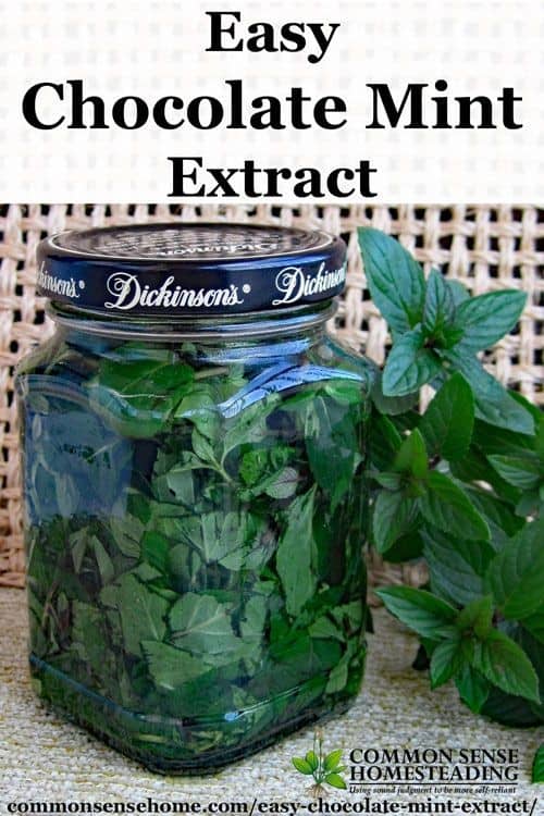 Chocolate Mint Extract