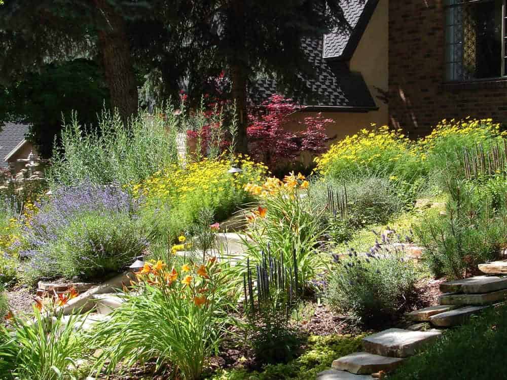 Prepare Your Garden for a Xeriscape Area