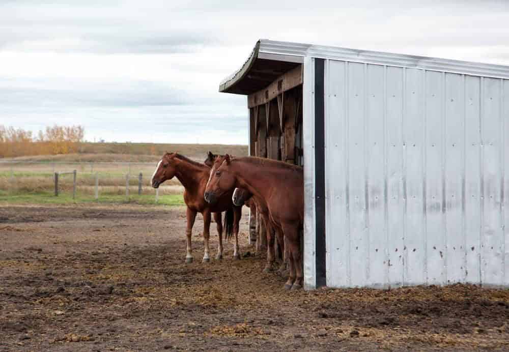 Outdoor Shelter