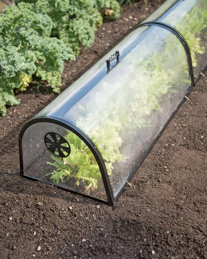 Modern Cloches