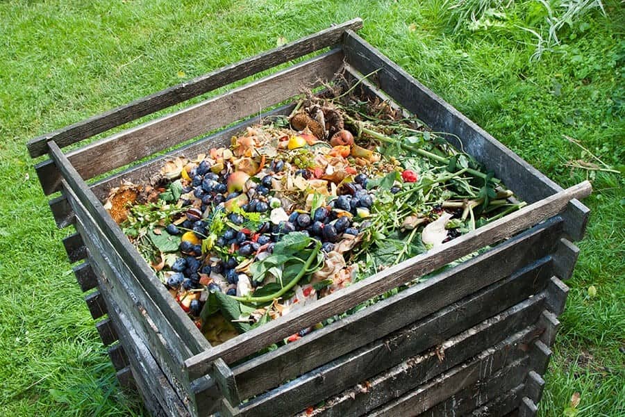 What’s OK to Compost