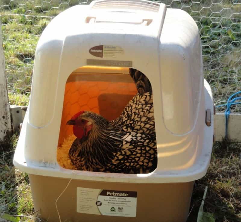 Covered Litterbox Nesting Boxes