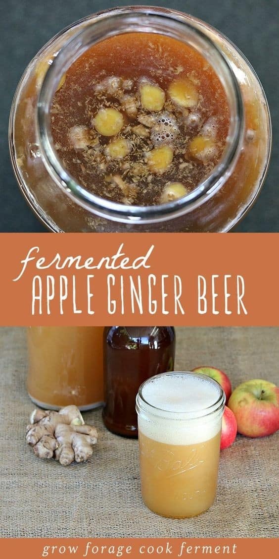 Fermented Apple Ginger Beer