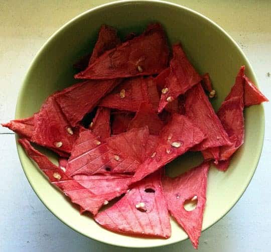 Dehydrated Watermelon