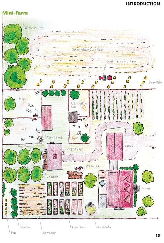 The Unique Homestead Layout