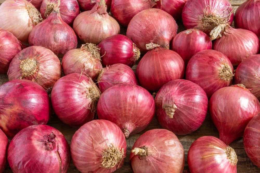 Onions