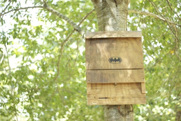 The Batman Bat House