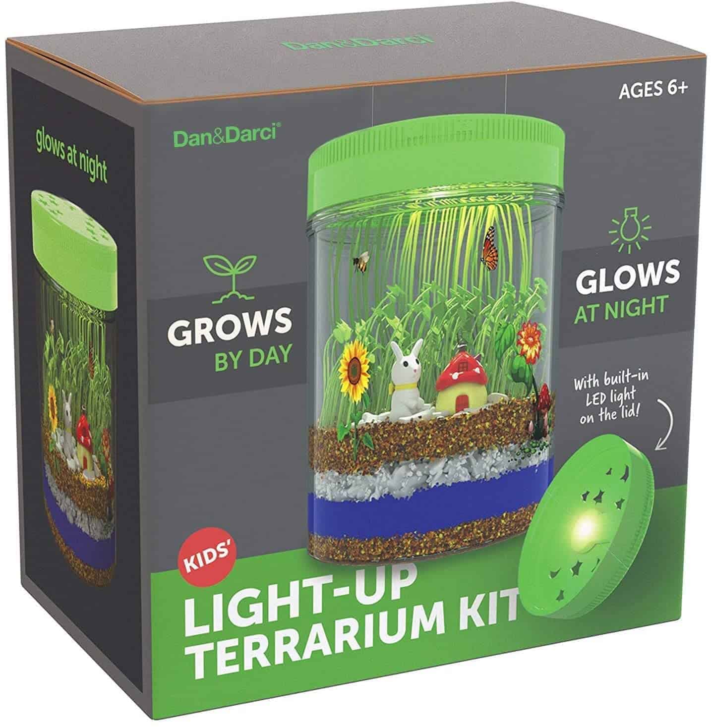 Dan&Darci Light-up Terrarium Kit for Kids with LED Light on Lid