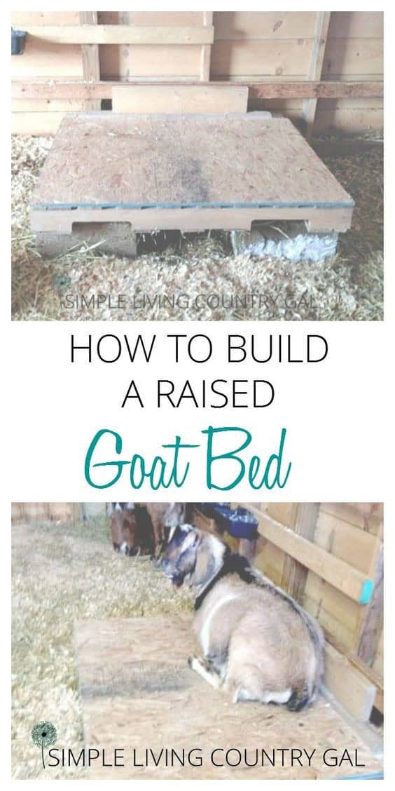 The Raised Goat Bed