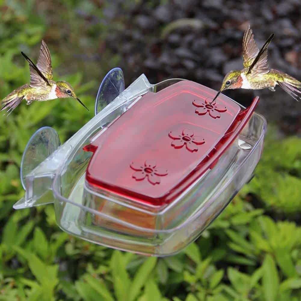 Juegoal Window Hummingbird Feeder