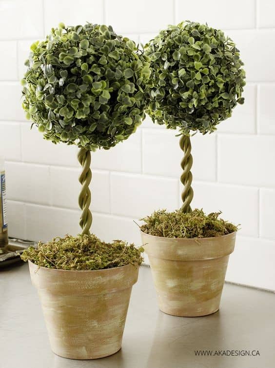 DIY Topiary Trees