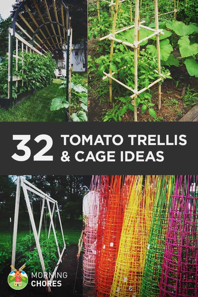 Trellis