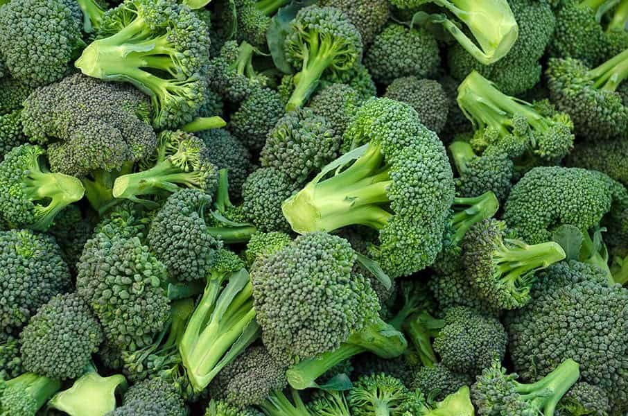 Broccoli – Ethylene Sensitive