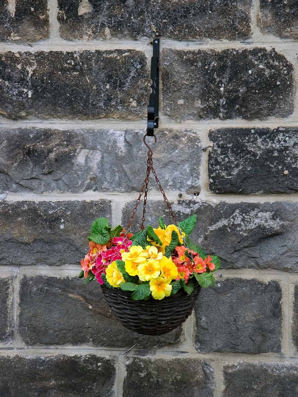 Hanging Basket