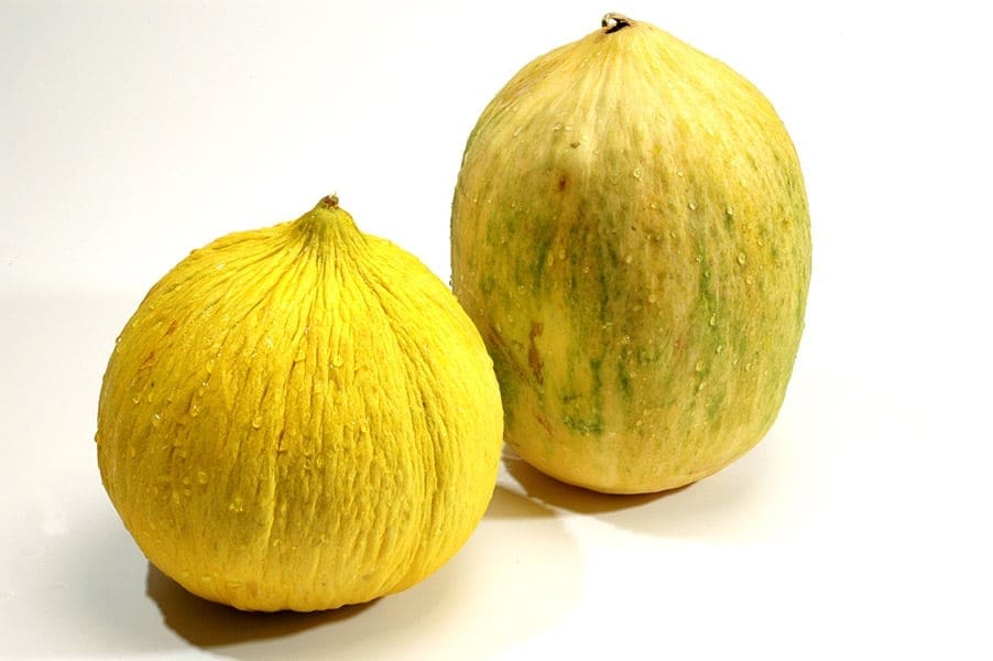 Melon Varieties