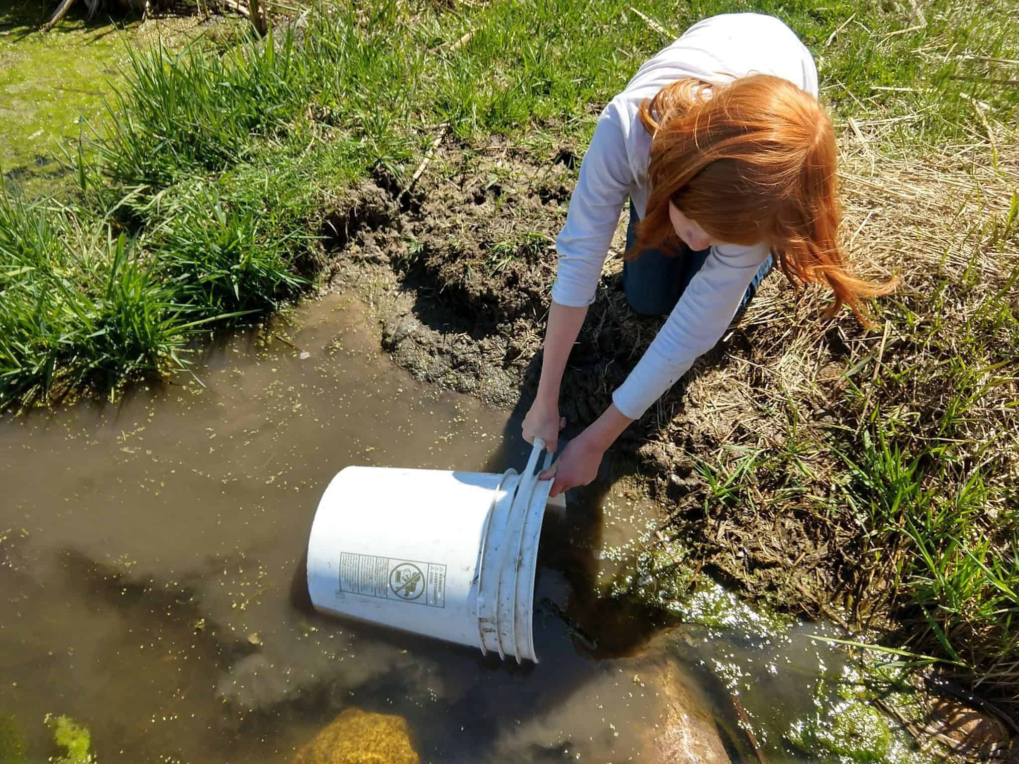 Hauling Water