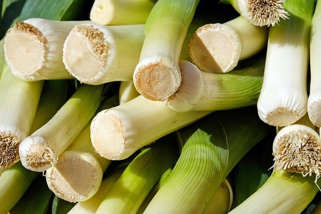 Leek Varieties