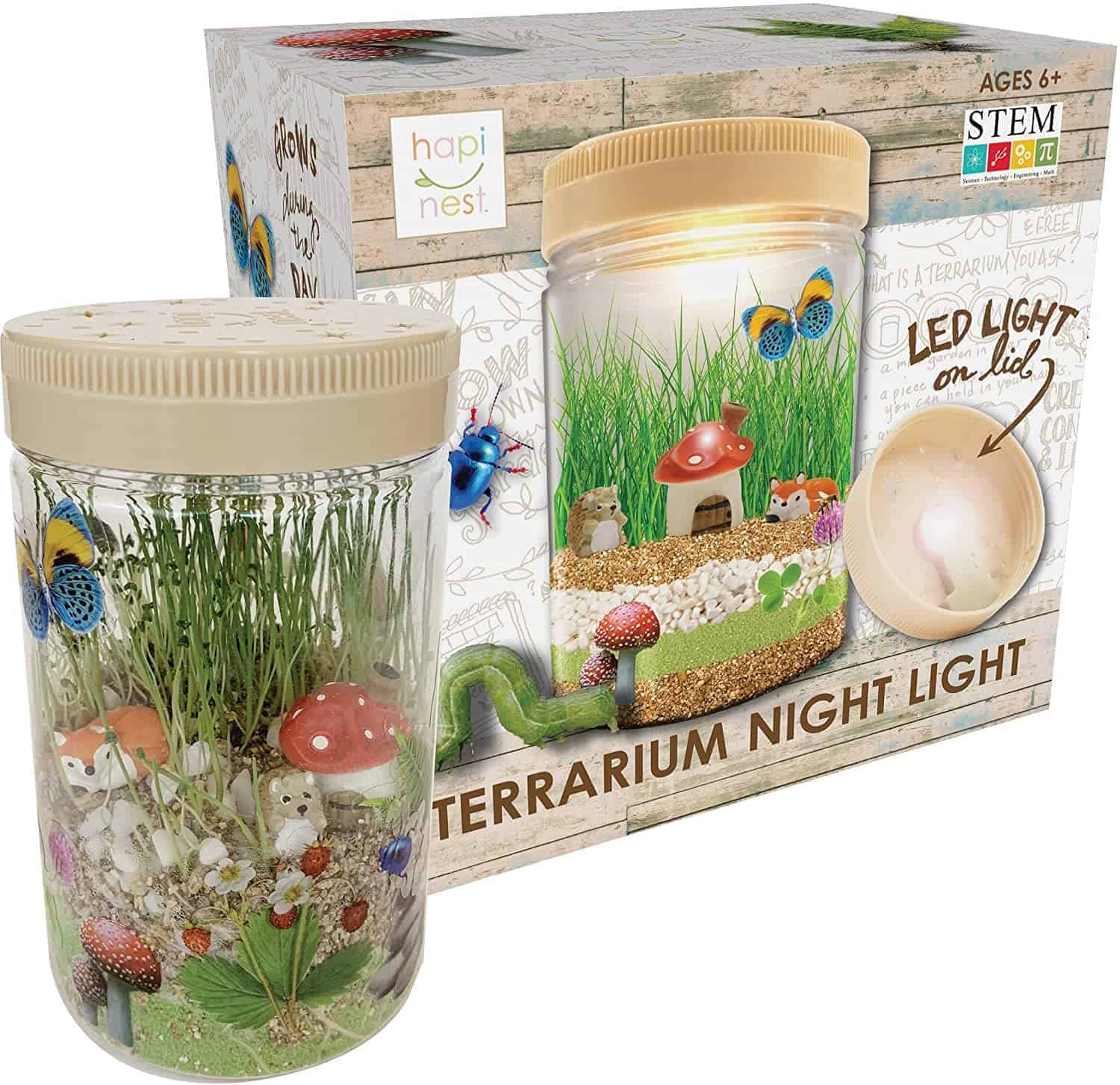 Hapinest Light-up Terrarium Kit for Kids