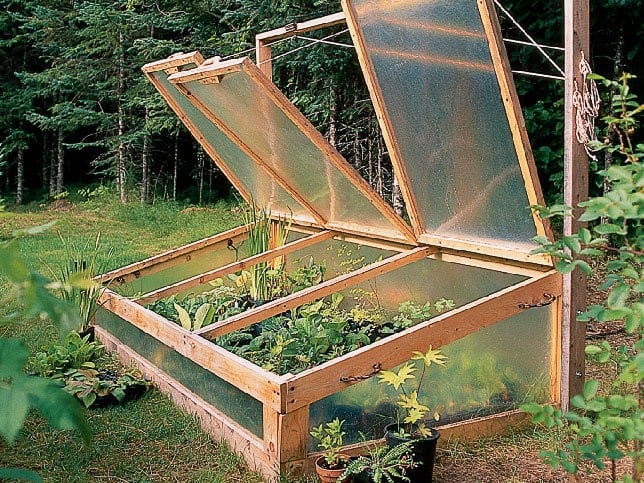 Cold Frame