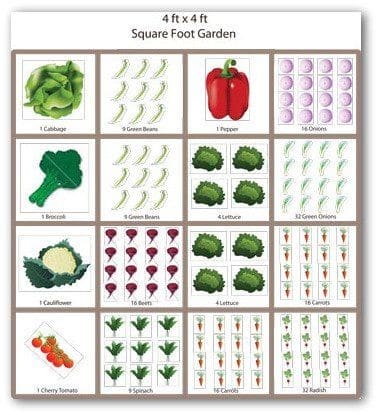 4×4 Foot Square Foot Gardening