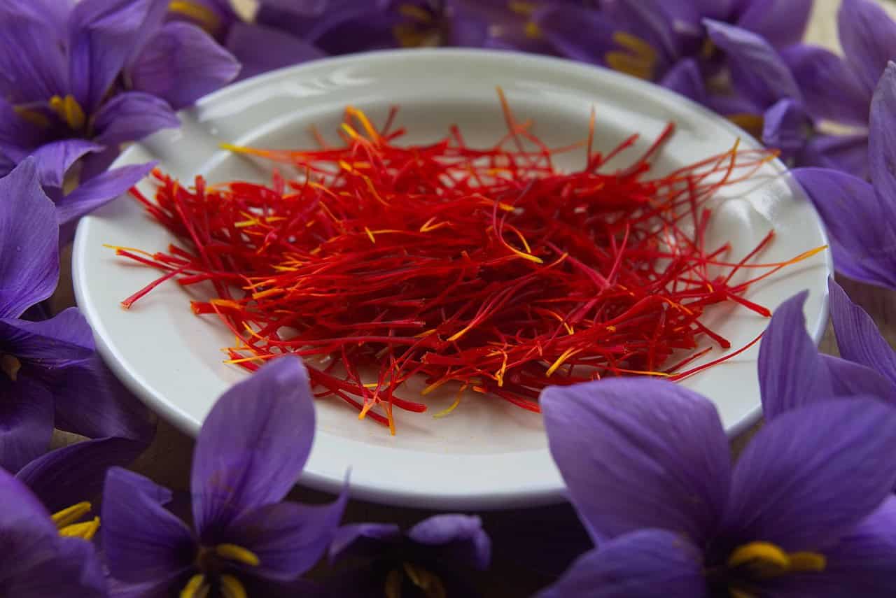 Why Grow Saffron?