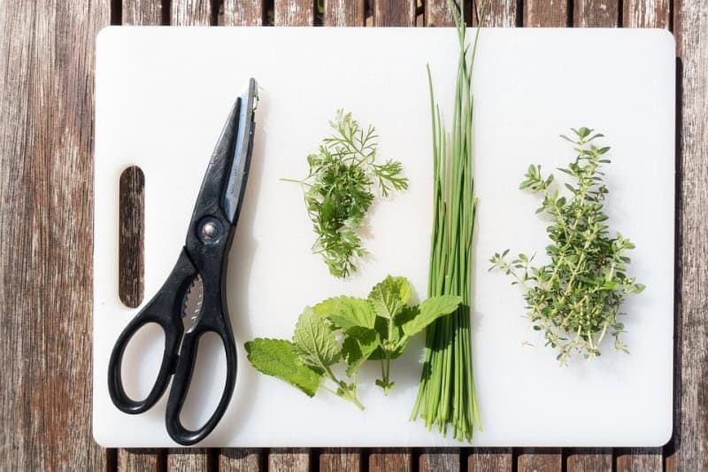 Harvesting and Prepping